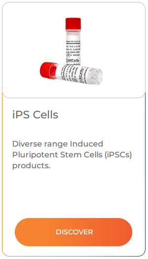 Diverse range Induced Pluripotent Stem Cells (iPSCs) products.