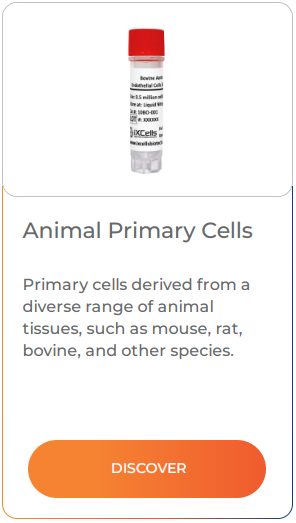 Primary cells derived from a diverse range of animal tissues, such as mouse, rat, bovine, and other species.