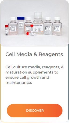 Cell culture media, reagents, & maturation supplements to ensure cell growth and maintenance.