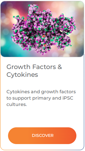 Cytokines and growth factors to support primary and iPSC cultures.
